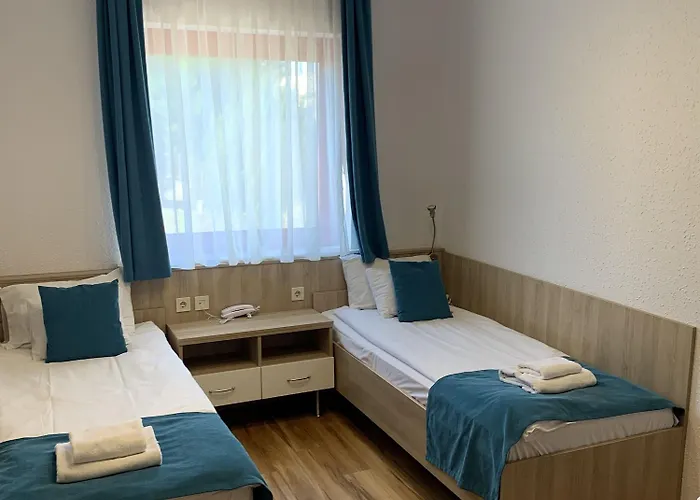 Frankfurt מלון 3*