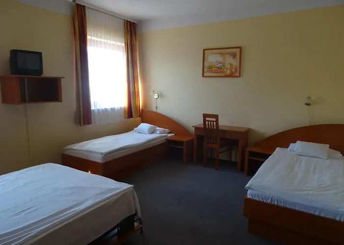 Frankfurt בודפשט