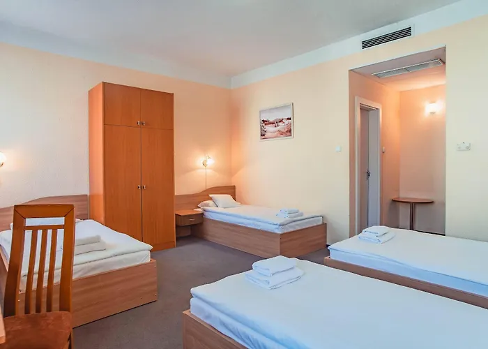 Frankfurt Hotel Budapesta